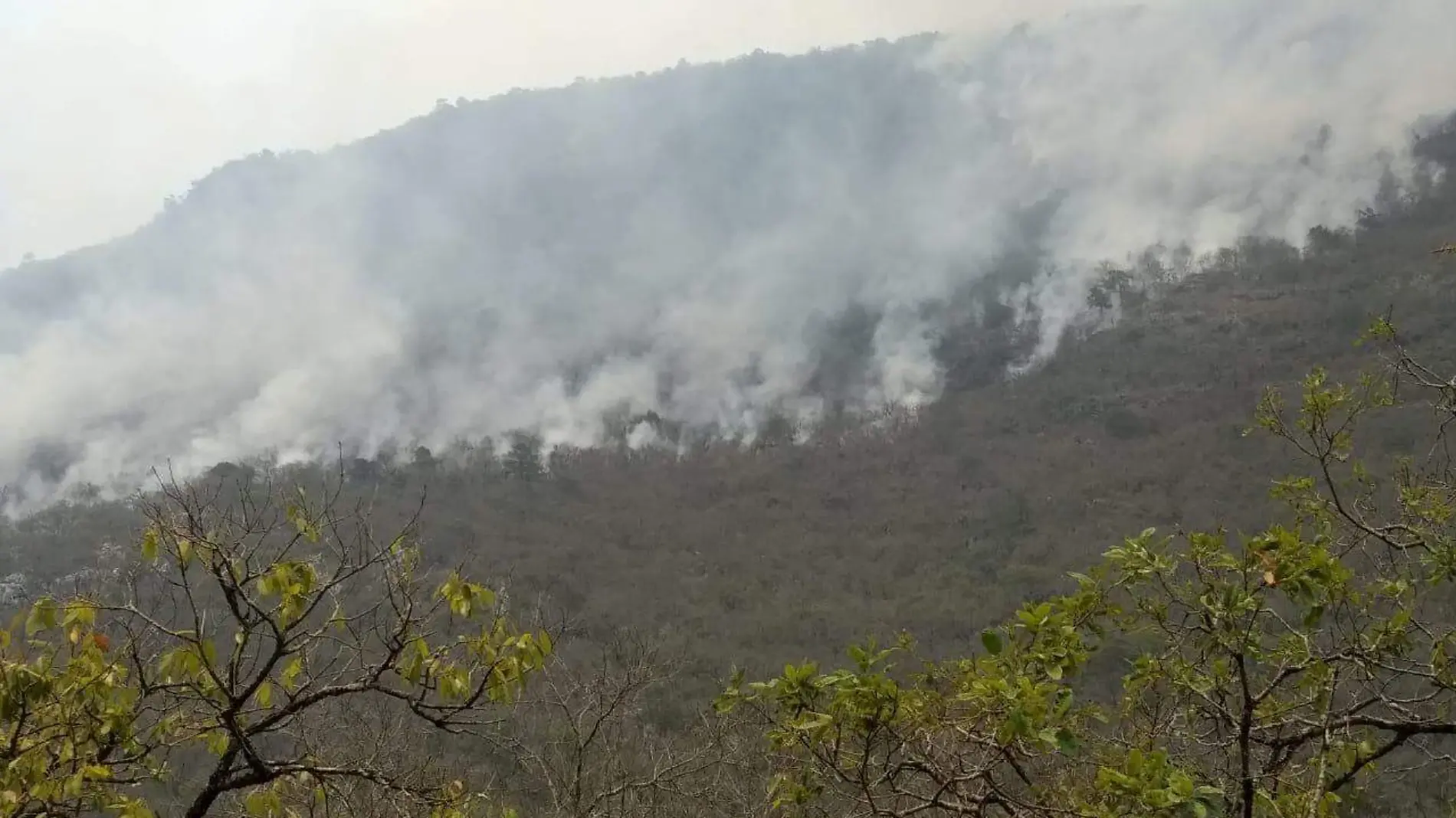 1A INCENDIO - VÍCTOR SÁNCHEZ BANDALA